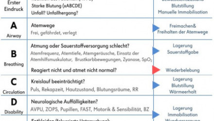 ABCDE-Schema | MedVBG - Medikamente Sicher Anwenden