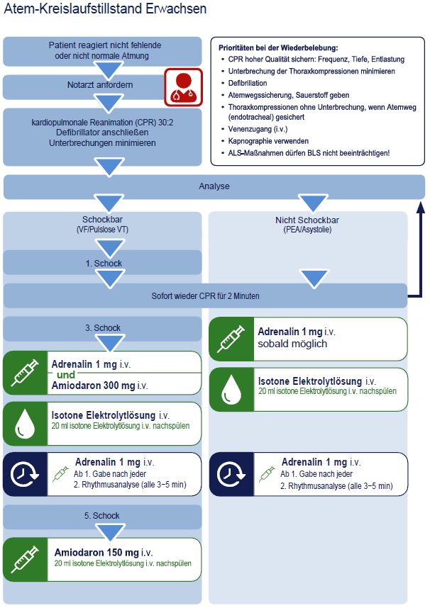 Atem-Kreislauf-Stillstand Erwachsen NKV.JPG