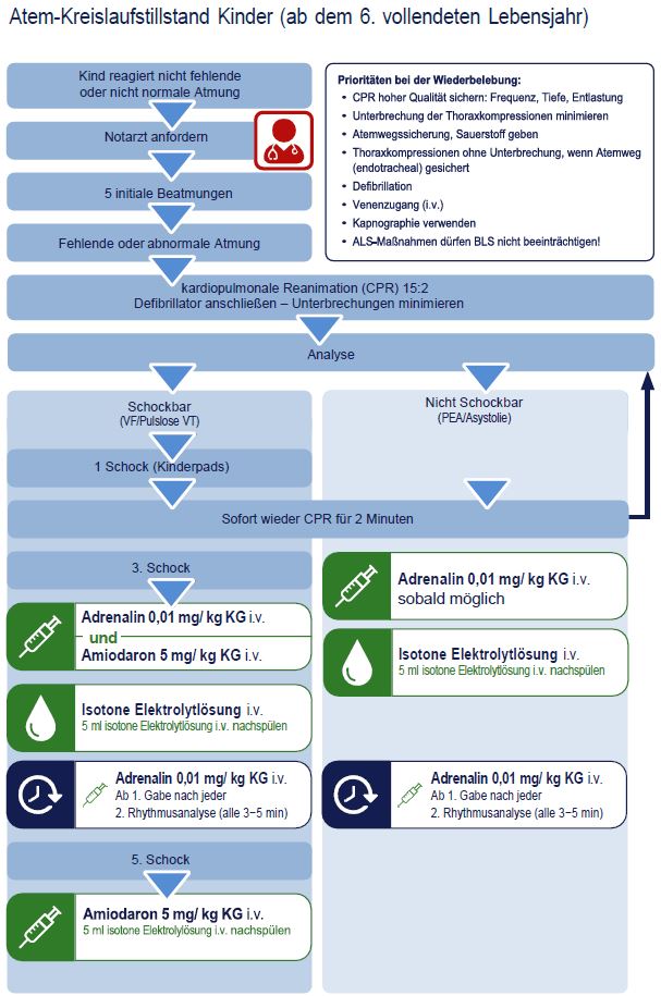 Atem-Kreislauf-Stillstand Kind NKV.JPG