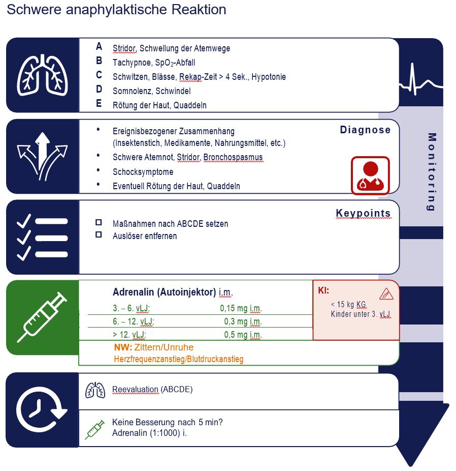 Schwere anaphylaktische Reaktion.JPG