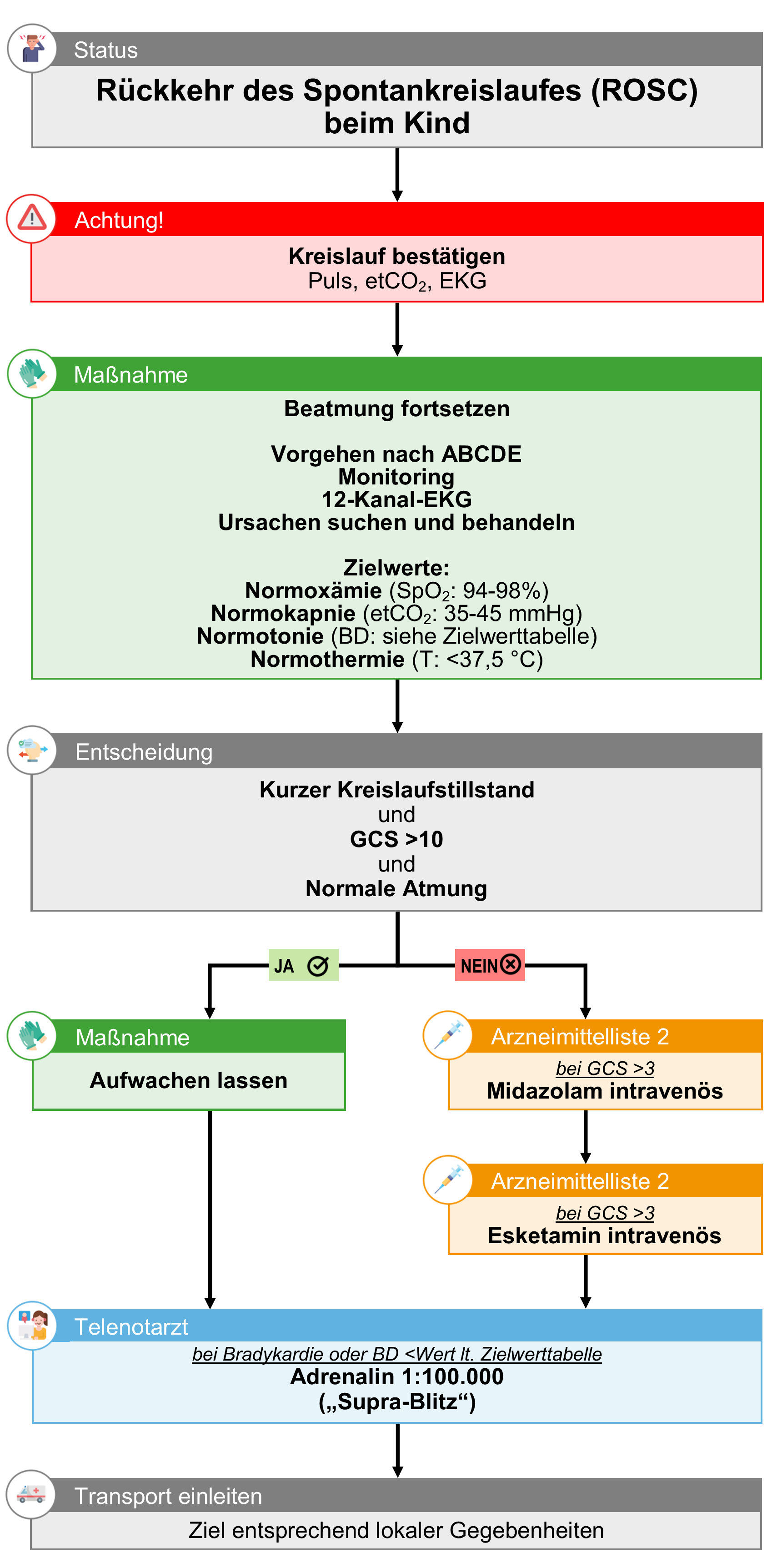 ROSC beim Kind.png